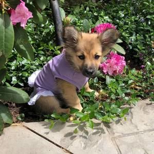 Meet your Posher, Kelly